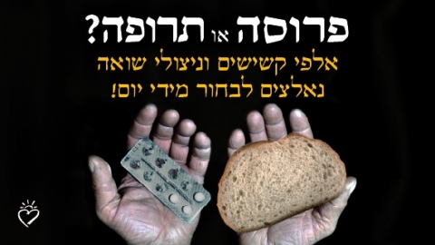 תרומה לניצולי שואה - תרומות לעמותת חסדי נעמי לנזקקים וניצולי שואה